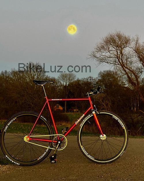 Schwinn Madison ficha tecnica 